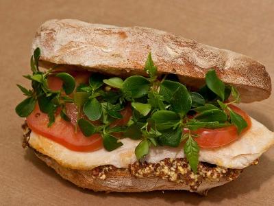 Panino con Pollo